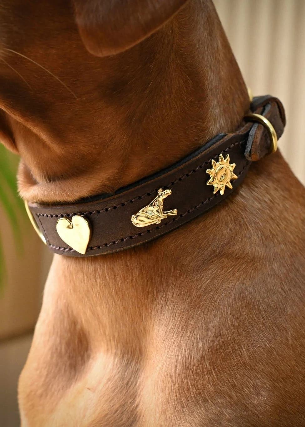 Dog Collar – Brown
